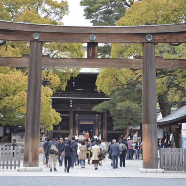 Tokyo Private Tour Custom Itinerary & Hotel Pickup - Who Should Consider This Tour?