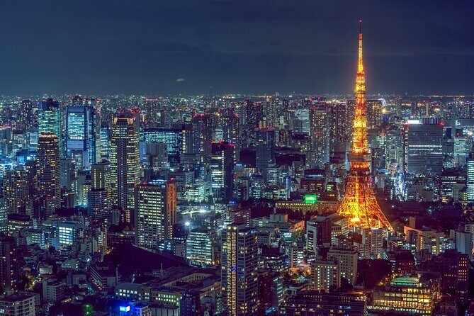 Tokyo Private Tour GREEN NUMBER PLATES - Transportation and Timing