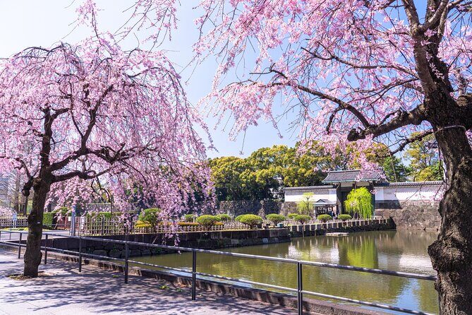 Tokyo Private Tour of the Imperial Palace East Gardens - The Sum Up