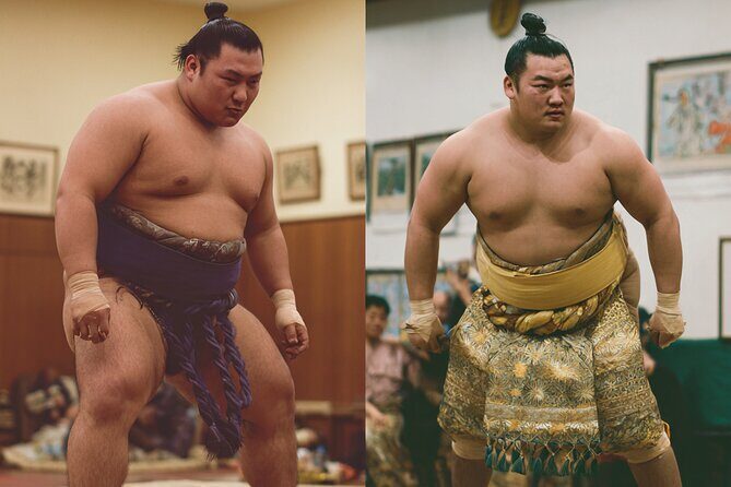 Tokyo Shinjuku Sumo Show Experience with Photo and Drinks - The Experience in Detail