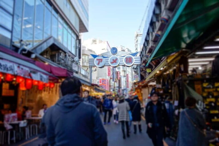 Tokyo Shopping Street Private Tour Government Licensed Guide - Who Will Love This Tour?