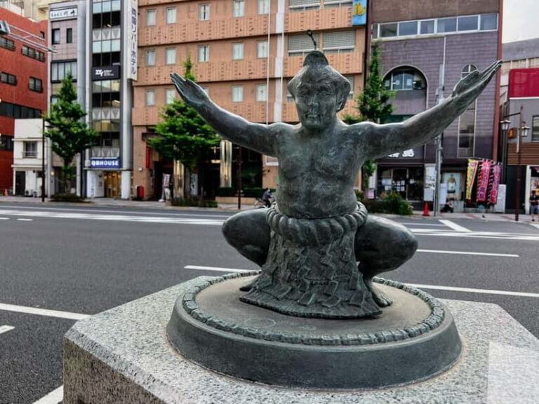 Tokyo: step into tradition, sumo wrestlers and geisha - Final Thoughts