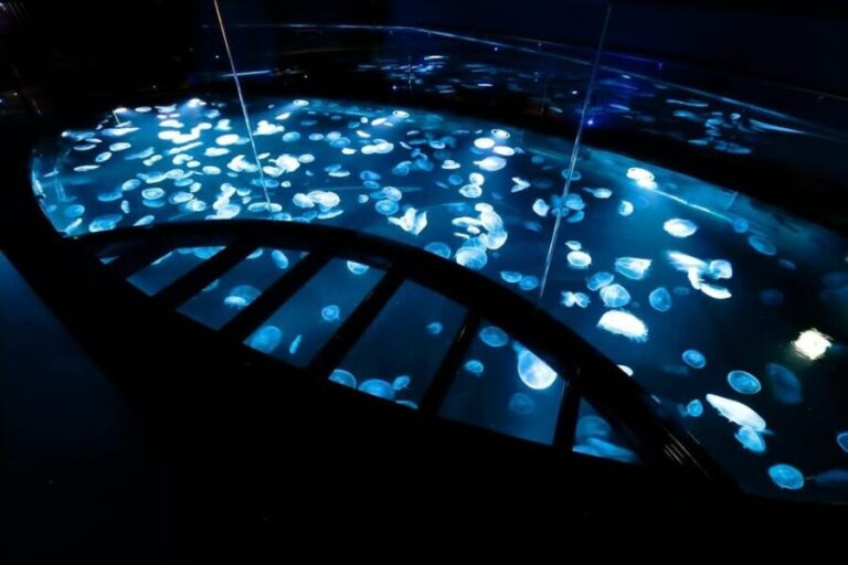 Tokyo: Sumida Aquarium Entry Ticket - What to Expect During Your Visit