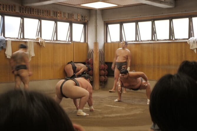 Tokyo Sumo Morning Practice Tour w/ Ring-Side Seat + Photo Shoot - What to Expect During Your Visit