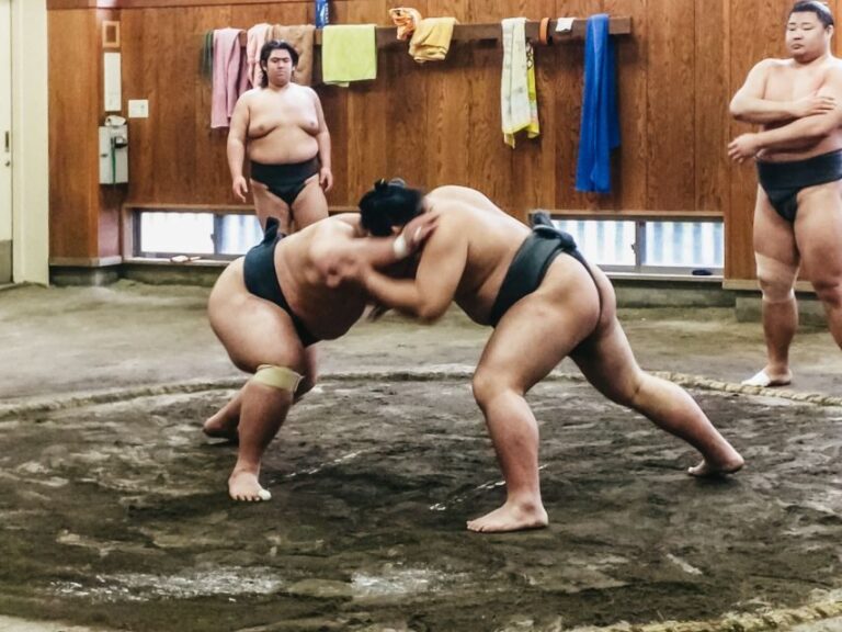 Tokyo: Sumo Morning Training Visit - How It Feels to Watch the Training