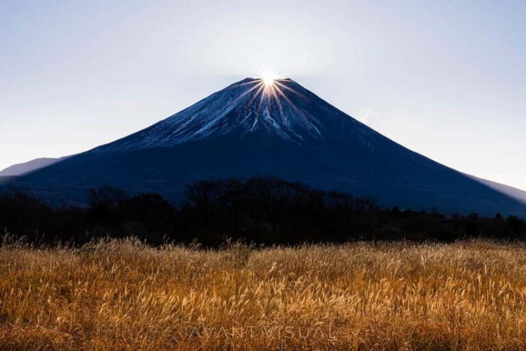 Tokyo To Mount FUJI Day Trip With English guide - The Practical Side: Transportation and Logistics