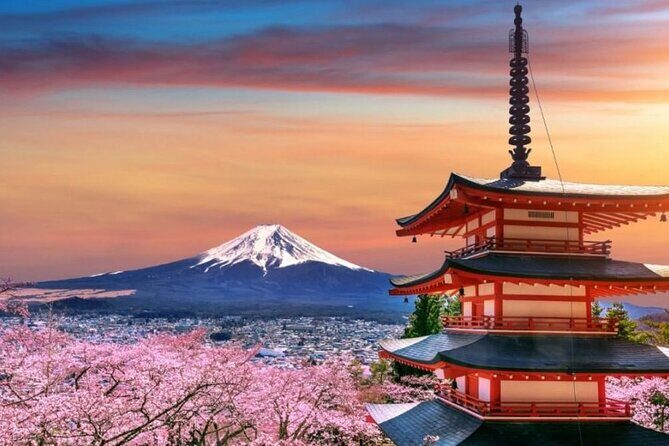 Tokyo To Mount Fuji Private English Guided Day Tour - Starting Point and Transportation