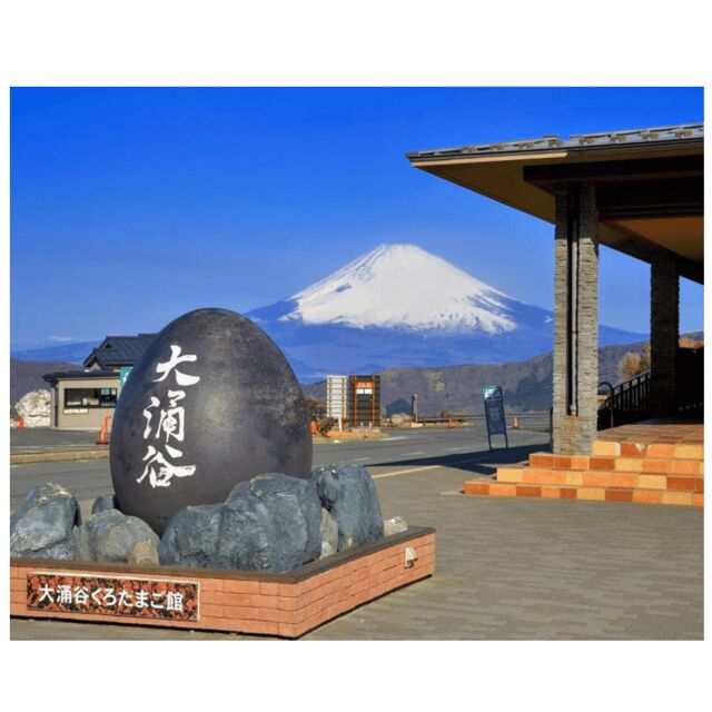 Tokyo to Mt. Fuji & Hakone: Private Customizable Day Trip - A Closer Look at the Itinerary and Experience