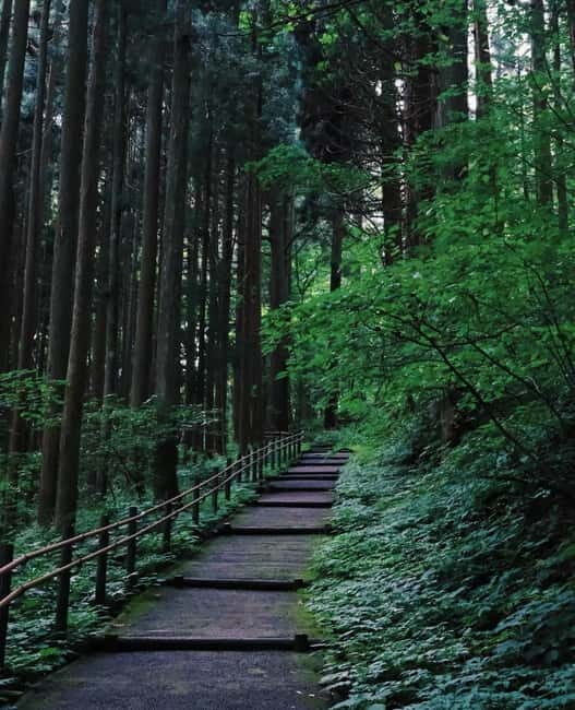 Tokyo: Togakushi Sacred Trail Day Tour with Shinkansen - What Makes This Tour Stand Out