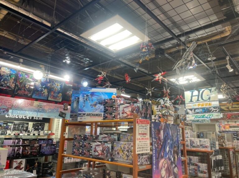 Tokyo: Tour around 10 charms to know Akihabara! - What You Can Expect From the Tour