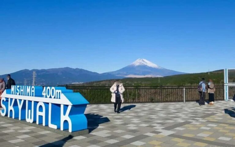 Tokyo:Customizable Private Day Trip to Mt.Fuji & Safari Park - A Detailed Breakdown of the Itinerary