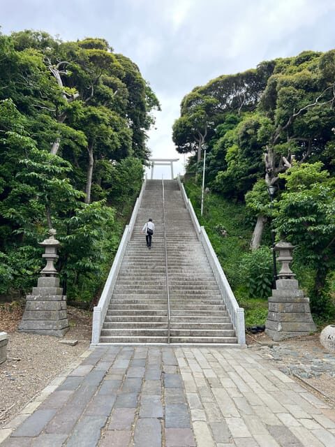 Tokyo:Hitachi seaside Park/Oarai isosaki shrine private tour - Final Thoughts: Is It Worth It?