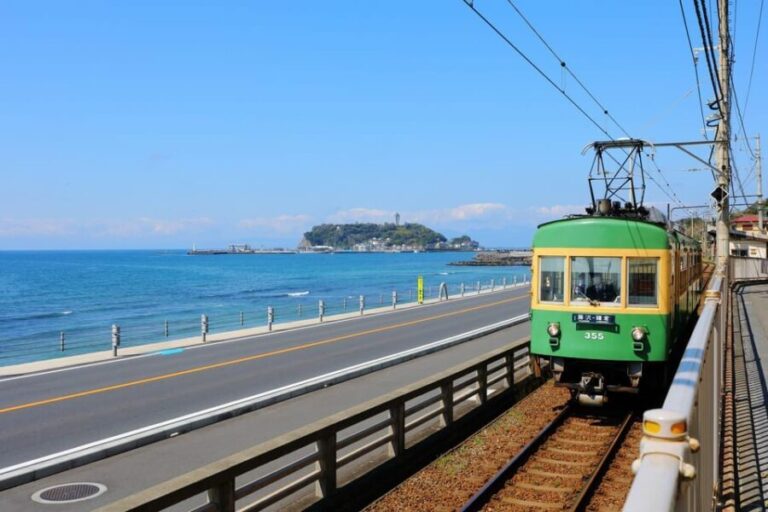Tokyo:Private Cutomizable Day Tour to Kamakura - The Sum Up: Who Is This Tour Best For?