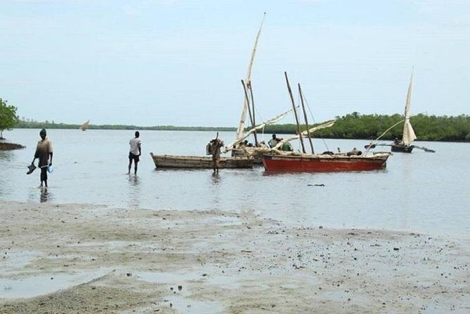 Tongoni Historical Ruins-From Tanga City (Oldest Fishing Village) - Exploring the Tongoni Ruins: A Deep Dive