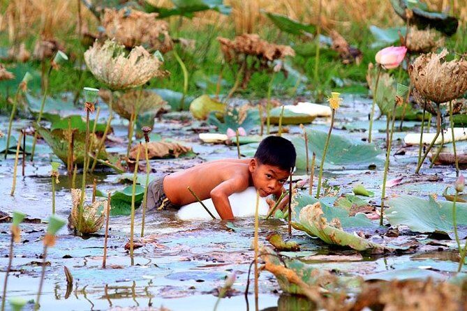 Tonle Sap Lake & Kampong Phluk Half-Day Tours - Practical Tips for Booking and Participating