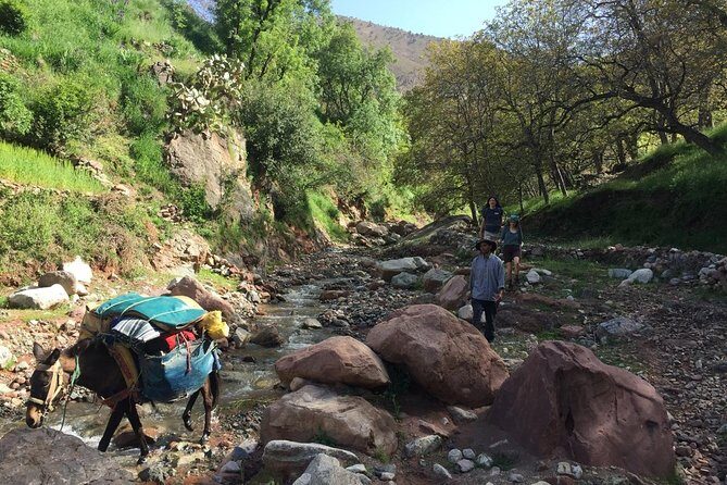 Toubkal ascent in two days, private trip - The Sum Up