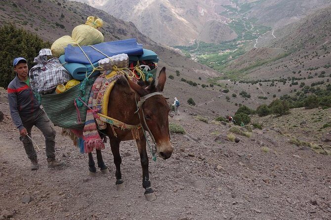Toubkal Ascent Trek - Atlas Mountains - 2 days (Private Trek) - What’s Included & What to Consider