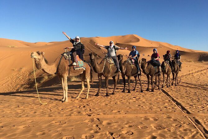 Tour 4 Days Désert and Touareg Sahara From Marrakech . - Practical Considerations and Potential Drawbacks