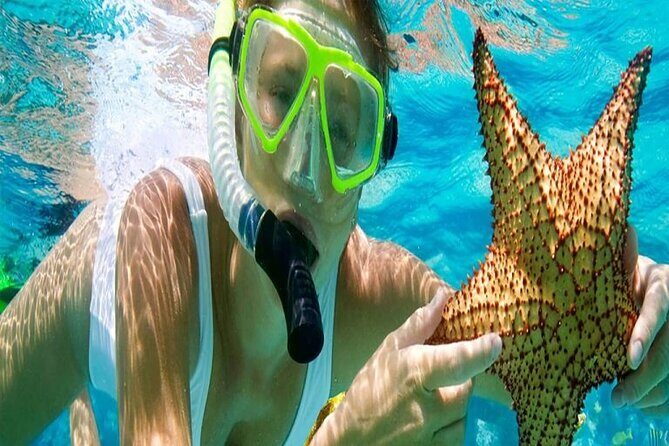 Tour and Swimming at the Dolphin House in Hurghada - The Guides and Crew: Making the Difference