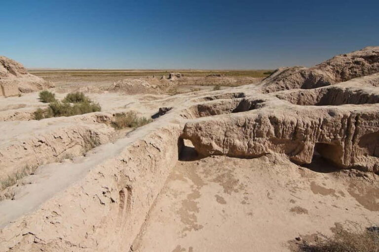 Tour around the Ancient fortresses of Khorezm - An In-Depth Look at the Tour Experience