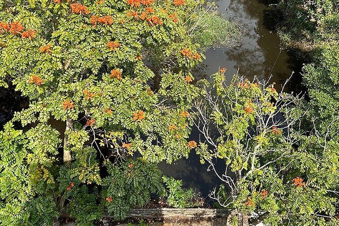 Tour for Nature lover- Lung Ngoc Hoang Nature Reserve in Can Tho - Practical Aspects and Value