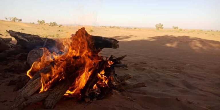 Tour from M'hamid to Erg Zahar & Erg Chegaga by 4x4 - 4-day - What Makes This Tour Valuable?
