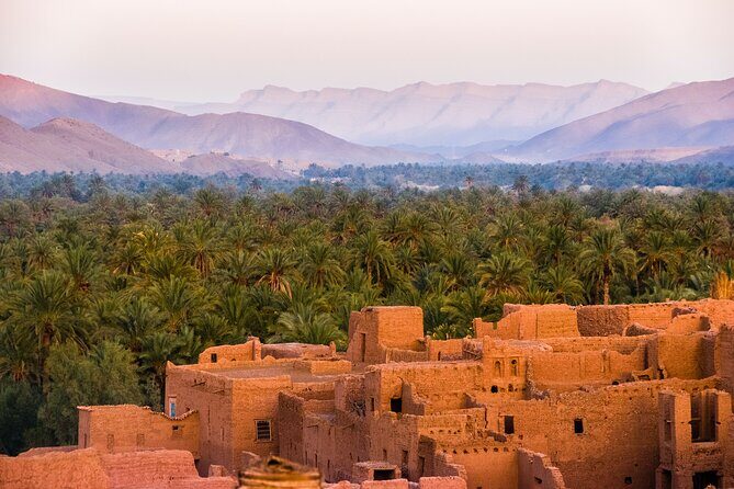 Tour from Ouarzazate to Vallee Du Draa and Dunes Of Tinfou - The Dunes of Tinfou: Camel Ride and Sandscape