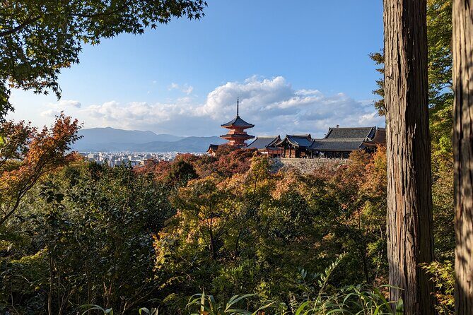 Tour in Kyoto with a Goverment Certified Tour Guide - In-Depth Tour Breakdown