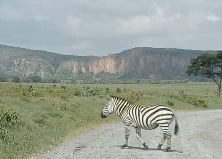 TOUR-L NAIVASHA/HELL'S GATE,CRESCENT ISLAND & GEOTHERMAL SPA - What Travelers Say About This Tour