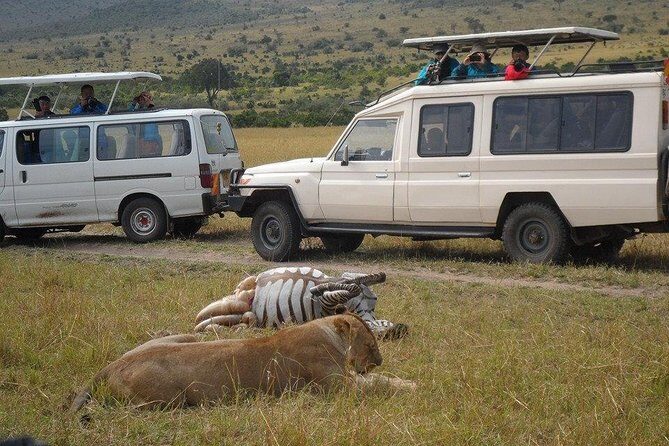 Tour Nairobi National Park - What Makes the Guided Experience Special?