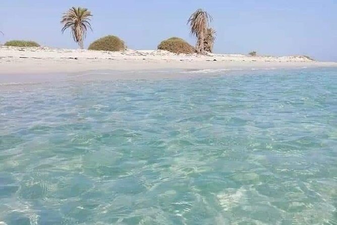 Tour of the island of Djerba the island of Lotophages