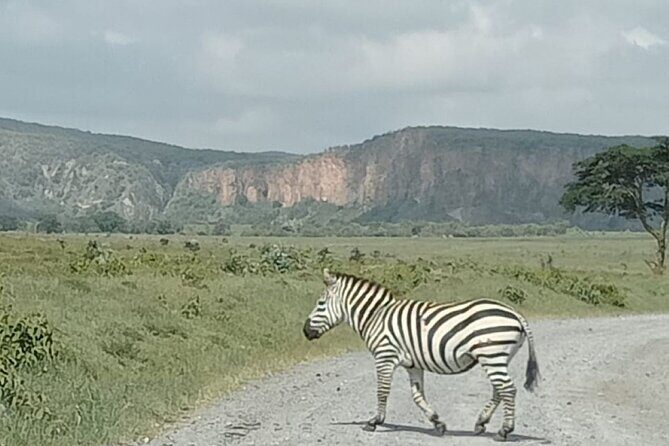 Tour to Hells Gate National park & L Naivasha boat ride - What’s Included and What’s Not