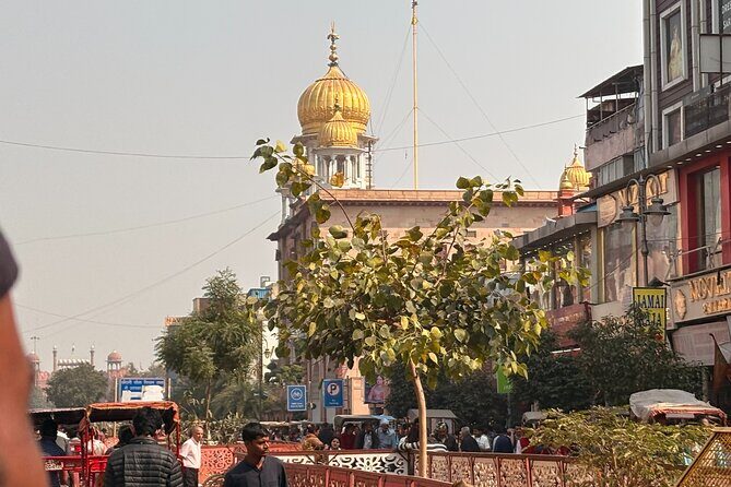 Tour to Old Delhi with Guide and Pickup - Who Will Love This Tour?