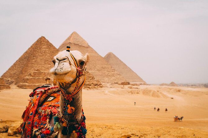 Tour to Pyramids, Sakkara & Dahshur - Final Thoughts