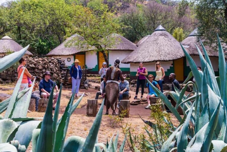 Traditional Cultural Viliage and Lion and Safari Park Combo - The Journey from Johannesburg to Cultural and Wildlife Treasure