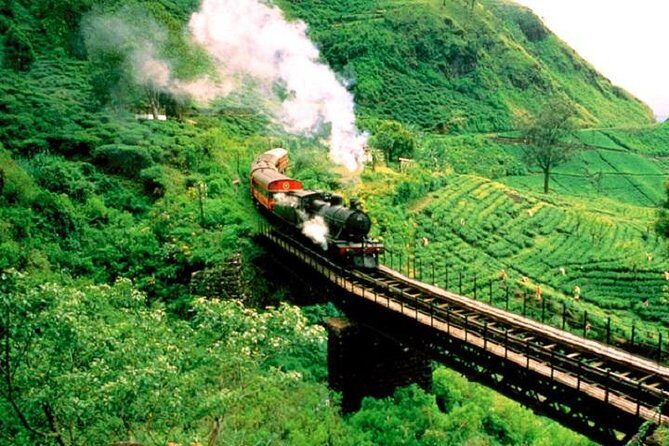 Train Tickets from Nanuoya (NuwaraEliya) to Ella - Who Should Take This Trip?