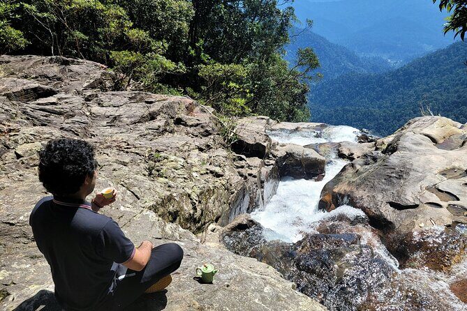 Transfer from Da Nang or Hoi An to Hue via Bach Ma National Park - Who Will Love This Tour?