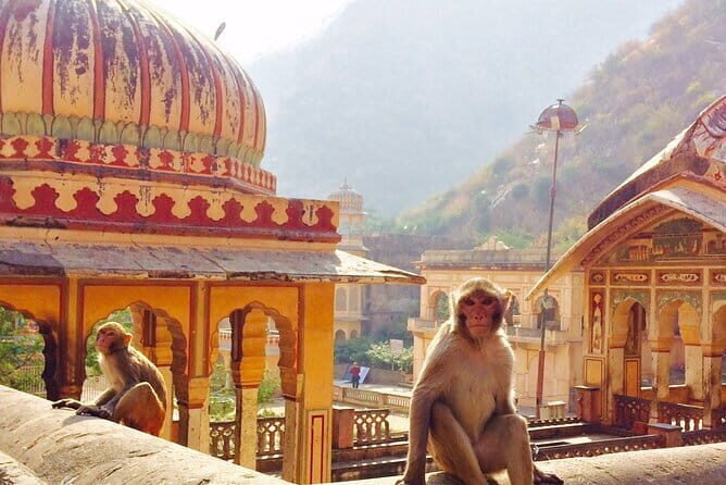 Travel Through the Streets of Jaipur by Tuktuk with a Local - Final Thoughts: Is It Worth It?