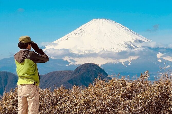 Traverse Outer Rim of Hakone Caldera and Enjoy Onsen Hiking Tour - Why This Tour Offers Real Value