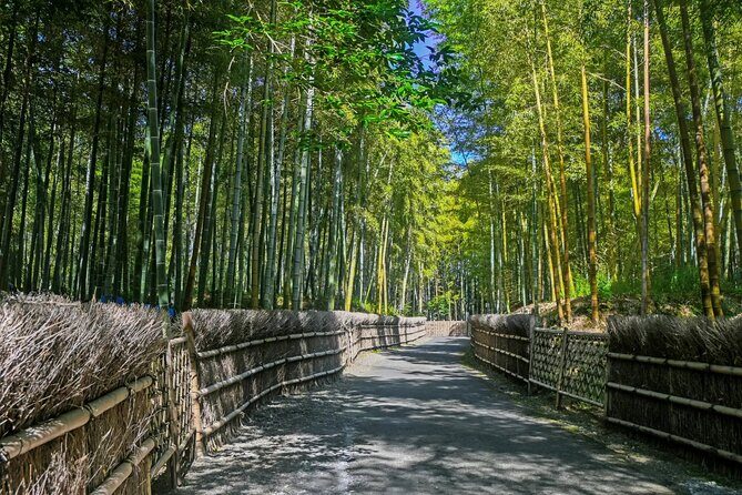 Traversing Kyoto's Scenic West - Arashiyama to Kinkakuji - Who Should Book This Tour?