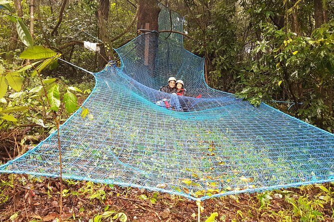 Tree Top Adventure - Who Will Love This Experience?