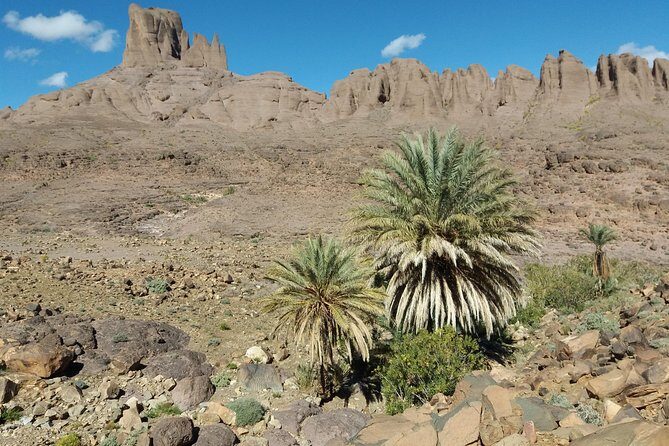 Trek Jebel Saghro Morocco 8 Days - Who It’s Best For