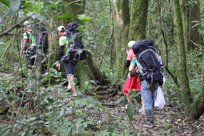 Trek On Langbian Mountain - The Practical Details