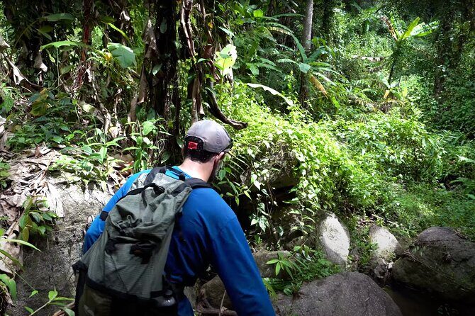 Trek to a Jungle Waterfall - Who Should Consider This Tour?