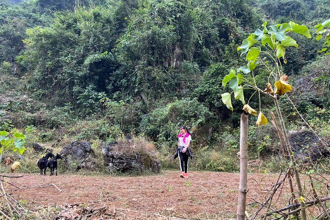 Trekking Ban Gioc Waterfall to Hidden Village on Unique Route - The Sum Up