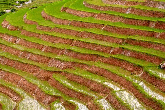 Trekking, Hiking And Tours Madagascar - FAQs