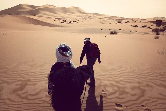 Trekking in Morocco / Atlas Mountains and Sahara Trek (5days) - A Close Look at the Itinerary