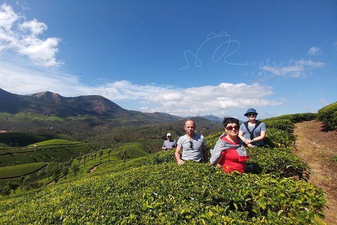 Trekking in Munnar - Meeting Points and Logistics