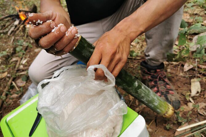 Tribal Cooking Class in Luang Prabang Forest and visit - A Deep Dive into the Forest and Flavors