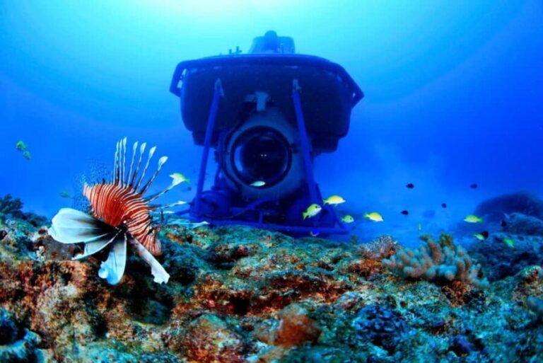 Triolet: Submarine Dive with Hotel Transfers - The Value of the Experience